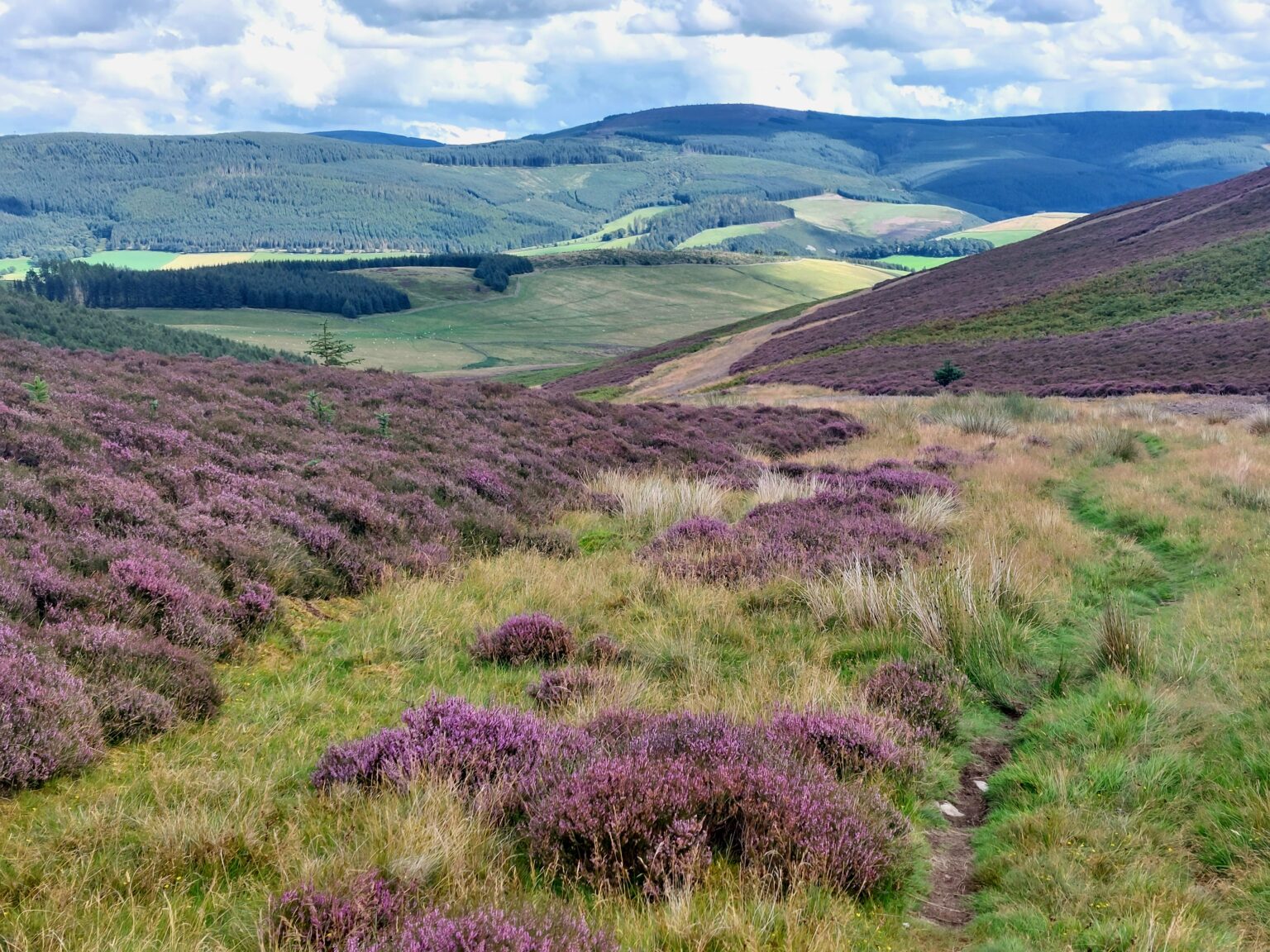 Cleikum Mill Lodge: Tweed Valley Mountain Bike ride of the week ...